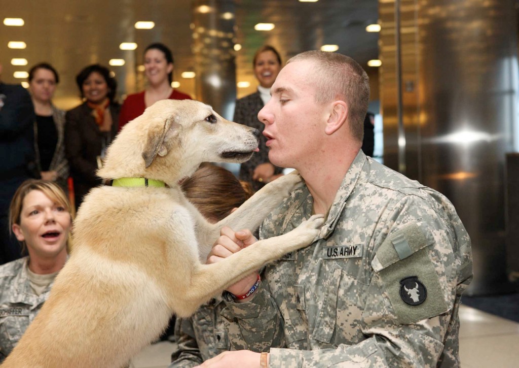 soldier with dog